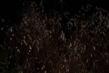 Underexposed and correctly exposed image for Nikon magazine's Why Shoot Raw article. Taken on a Z 6II and edited in Lightroom