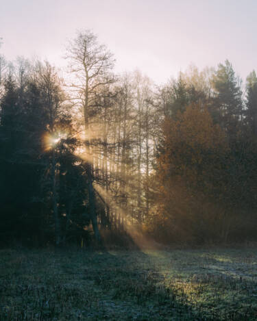 Linus Bergman | Nikon magazine